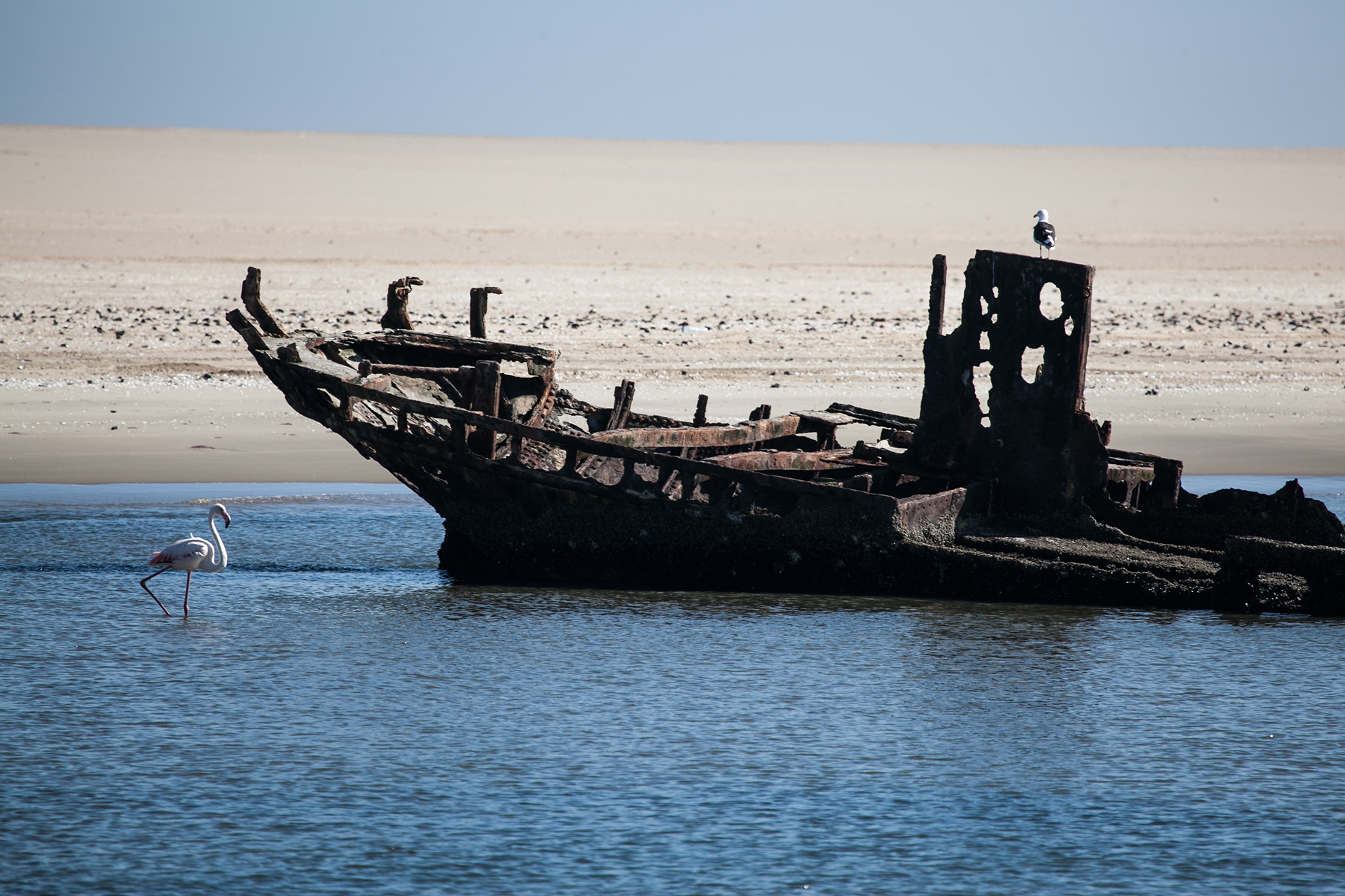Namibia — Skeleton Coast shipwreck.