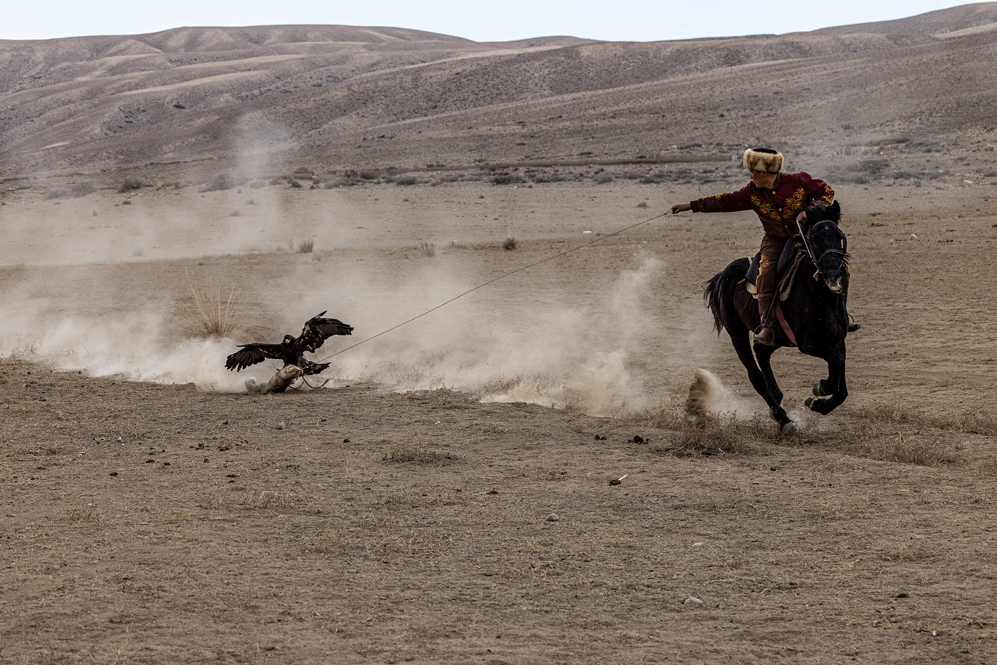 Kyrgyzstan — eagle hunter on horseback