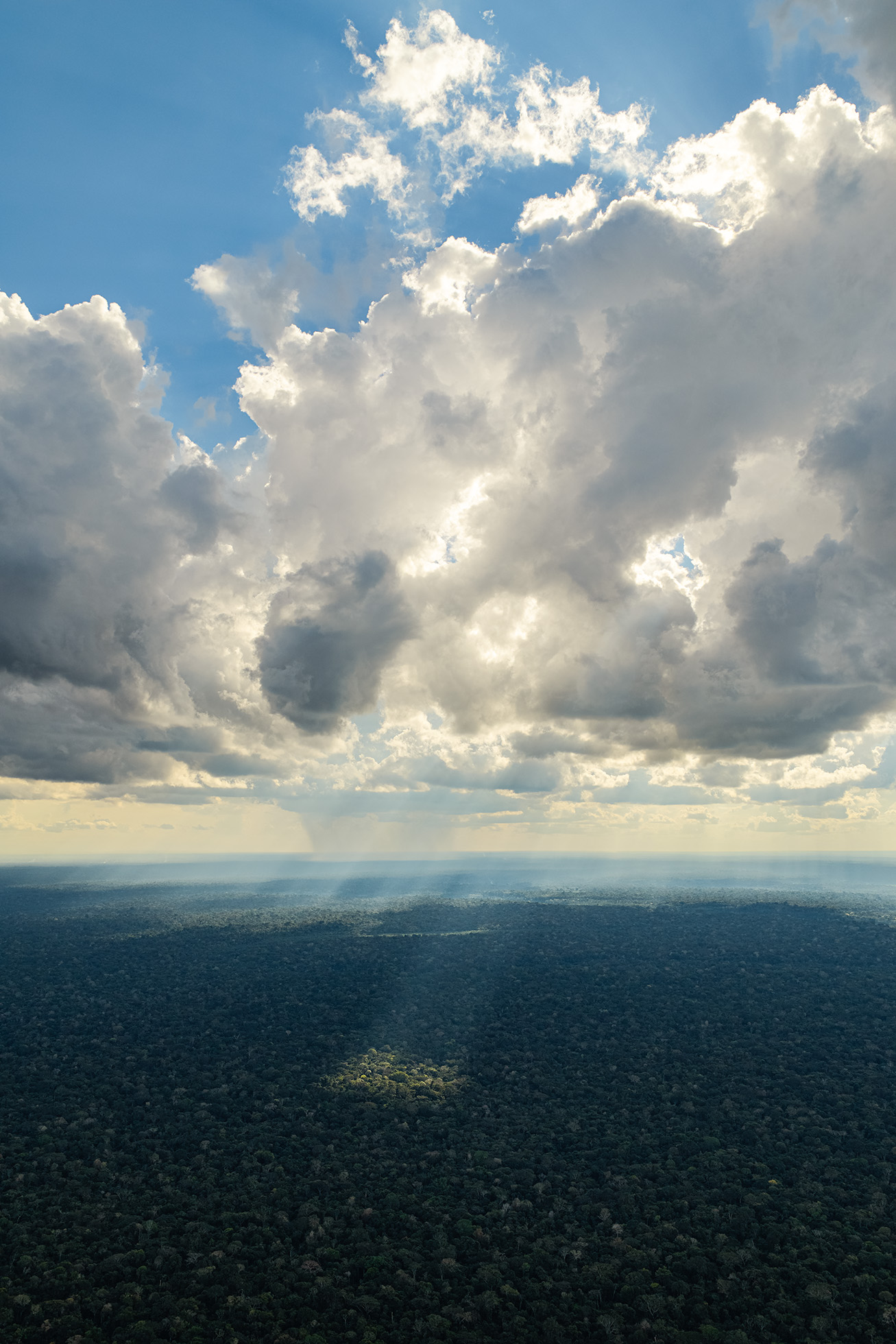 Peru — rainforest canopy under storm clouds, aerial