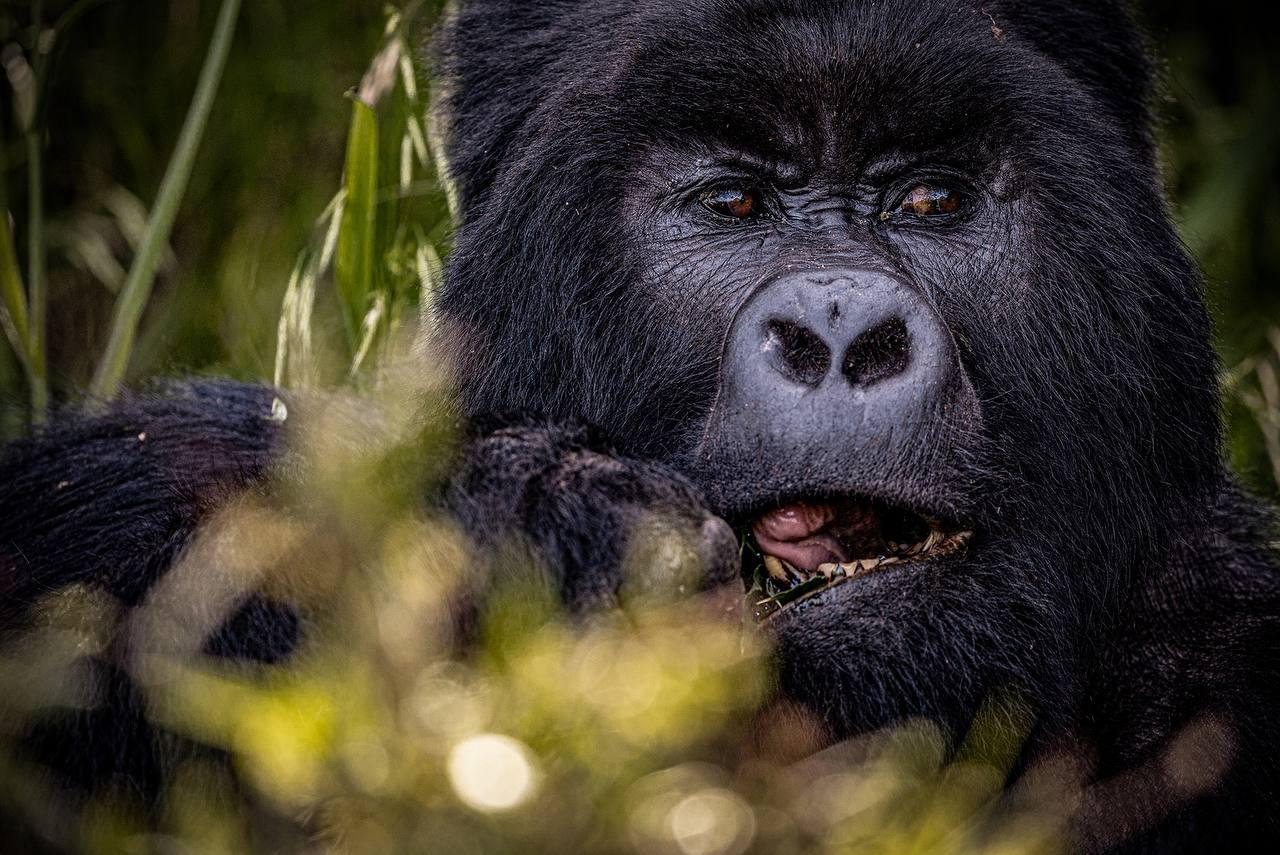 Uganda — become what calls you.